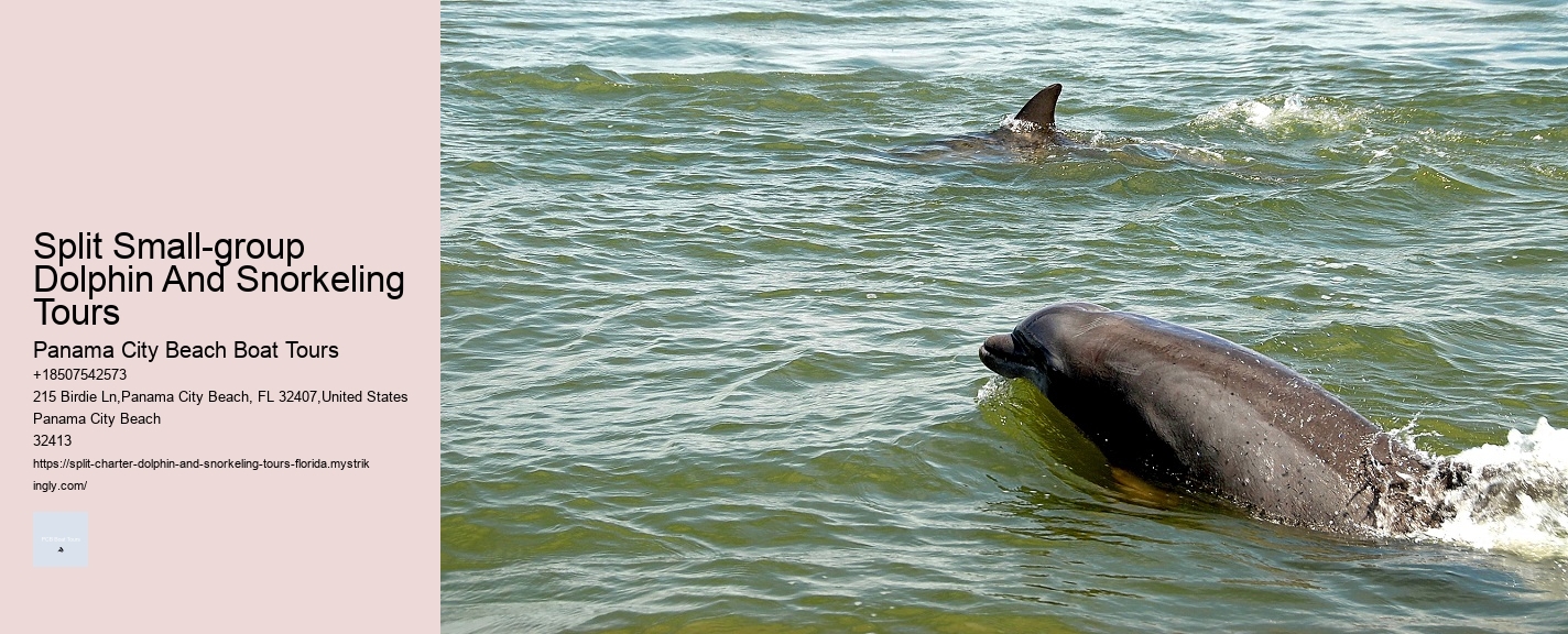 Split Small-group Dolphin And Snorkeling Tours Panama City Beach Boat Tours Split Small-group Dolphin And Snorkeling Tours