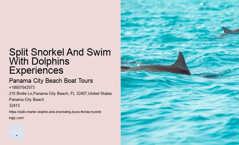 Behind The Smiles: The Suffering Endured By Captive Dolphins