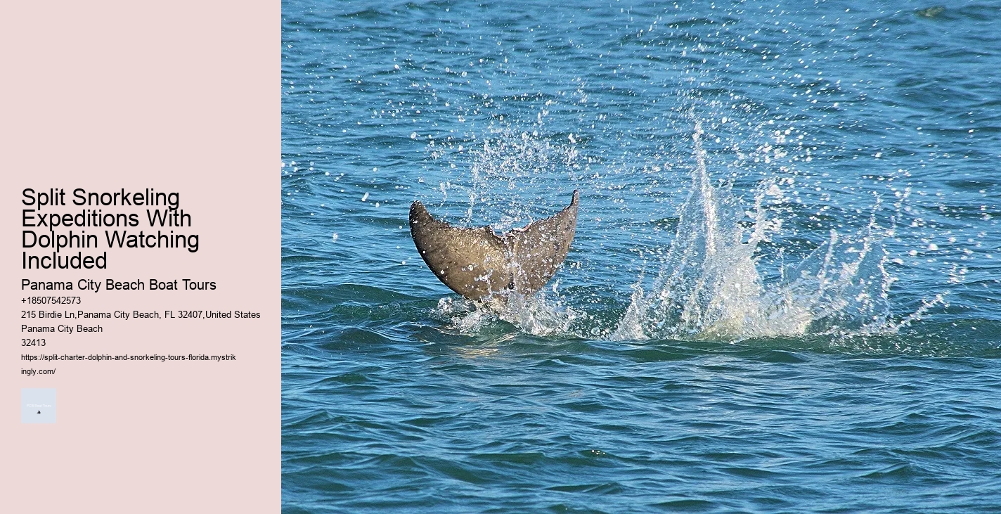 How Deep Is The Water When You Swim With Dolphins