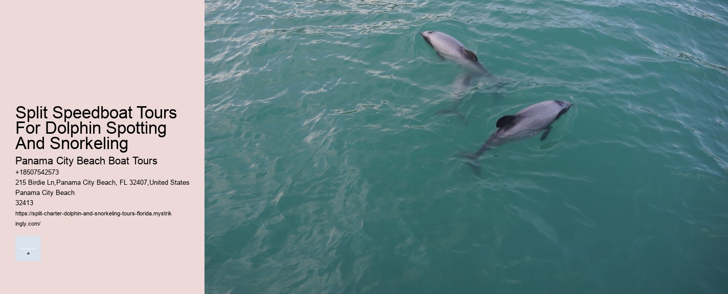 What Not To Do With Dolphins