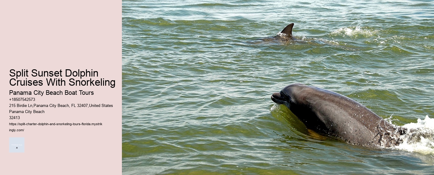 Split Sunset Dolphin Cruises With Snorkeling Panama City Beach Boat Tours Split Sunset Dolphin Cruises With Snorkeling
