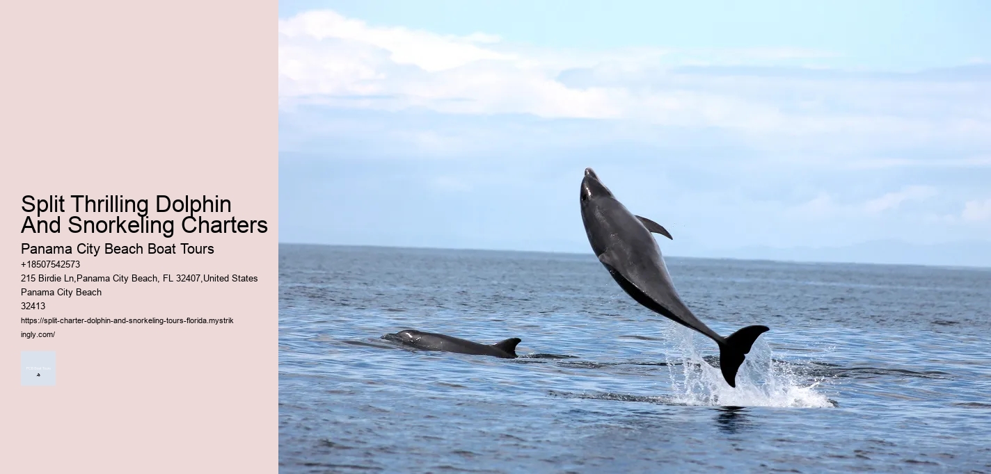 Blue Dolphin Charter Reviews