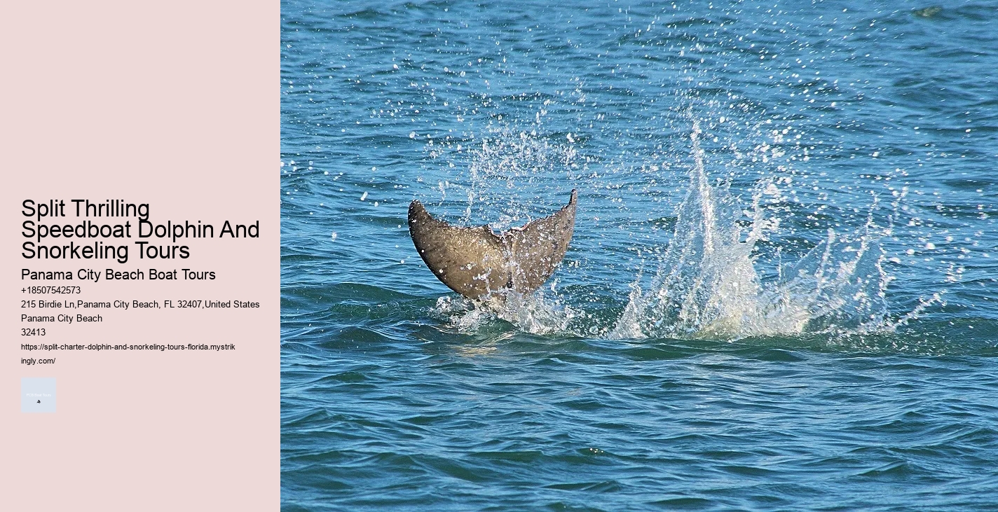 Do Dolphins Really Swim In Front Of Ships