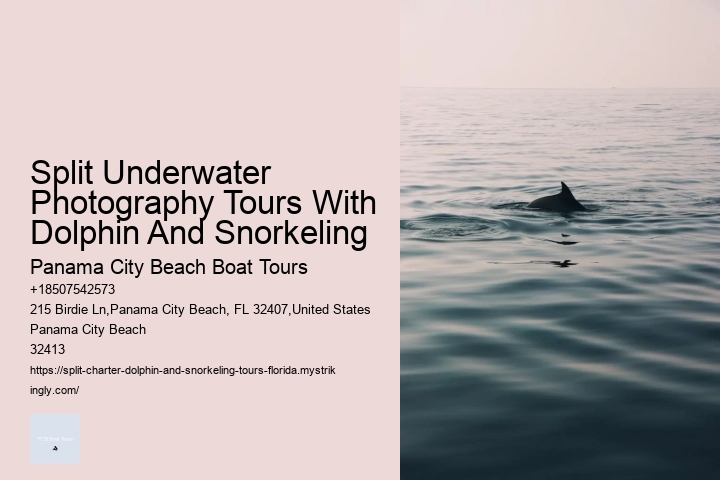 Dolphin Spotting Tours Combined With Snorkeling In Split