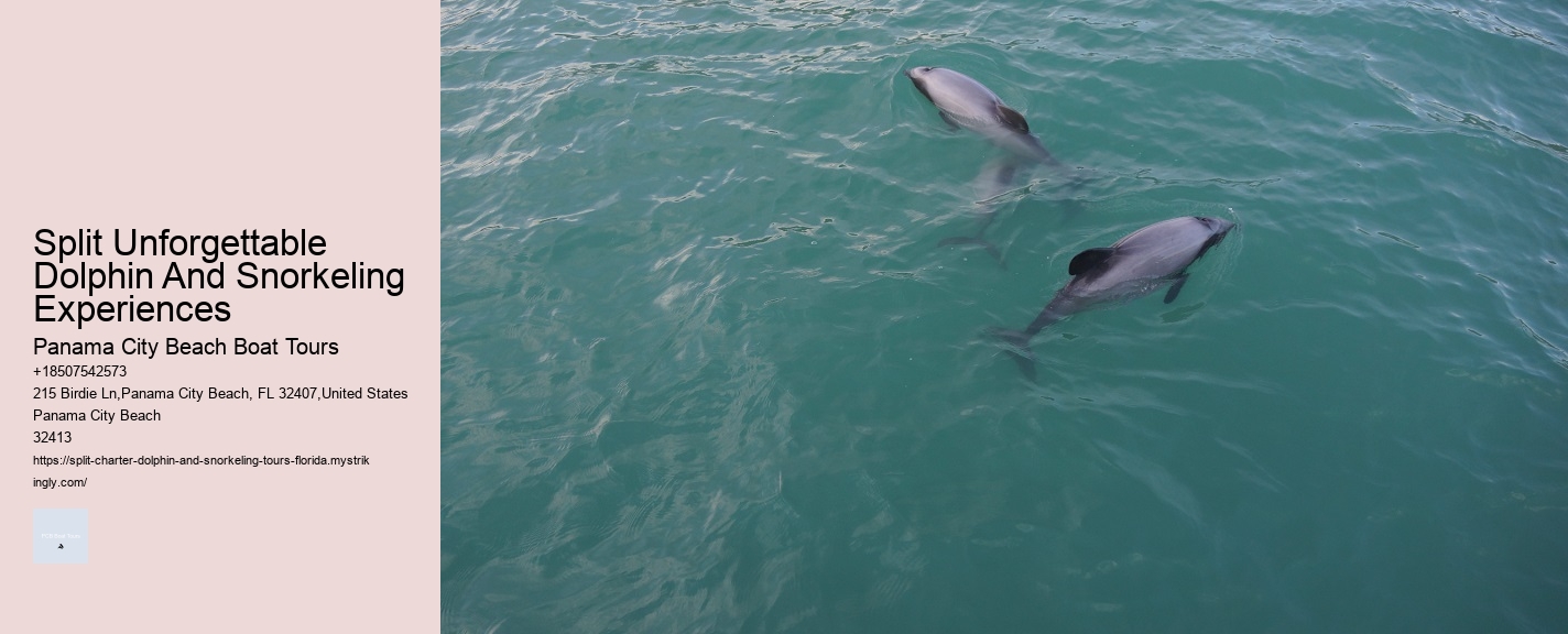 Split Unforgettable Dolphin And Snorkeling Experiences Panama City Beach Boat Tours Split Unforgettable Dolphin And Snorkeling Experiences