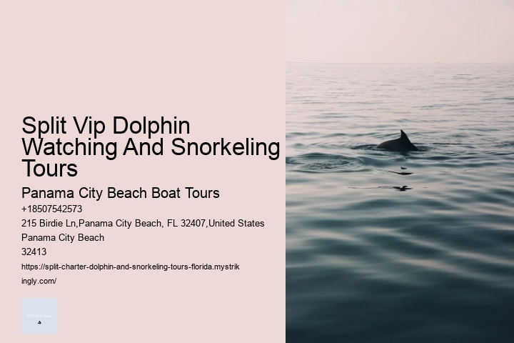 What To Do If A Dolphin Approaches You